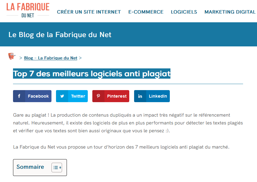 PLAGIAT FABRIQUE DU NET